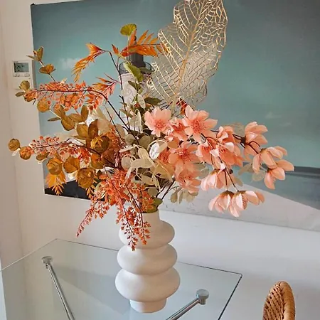 Casa Mi-es Daire Torrevieja